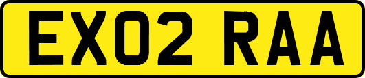 EX02RAA
