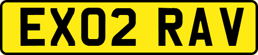 EX02RAV