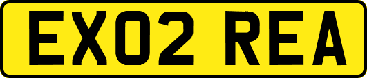 EX02REA