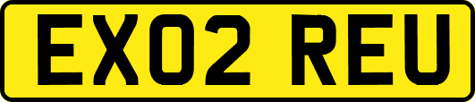 EX02REU