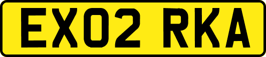 EX02RKA