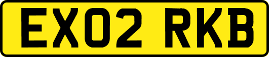 EX02RKB