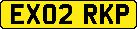 EX02RKP