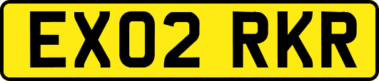 EX02RKR