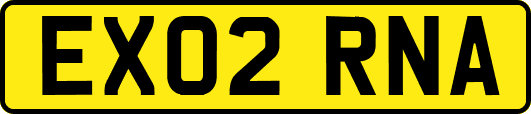 EX02RNA