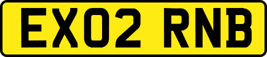 EX02RNB