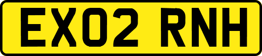 EX02RNH