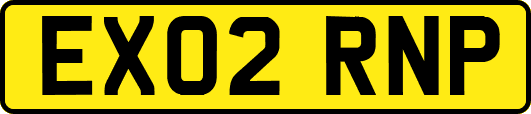 EX02RNP