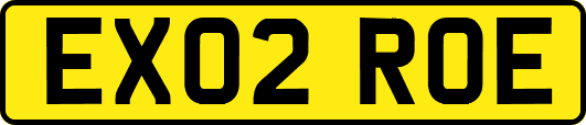 EX02ROE
