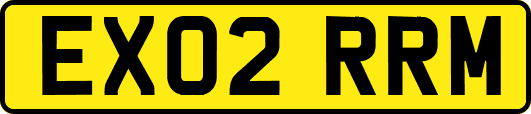 EX02RRM