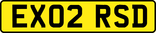 EX02RSD