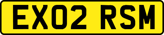EX02RSM