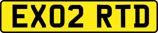 EX02RTD
