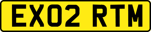EX02RTM