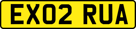 EX02RUA