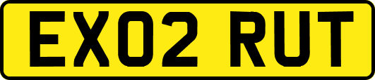 EX02RUT