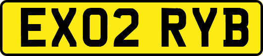 EX02RYB
