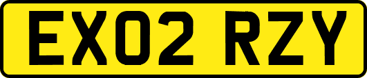 EX02RZY