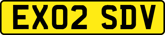 EX02SDV