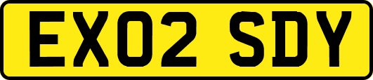 EX02SDY