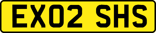 EX02SHS