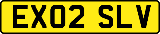 EX02SLV