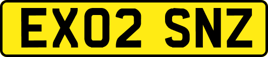 EX02SNZ