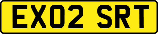 EX02SRT
