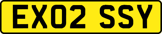 EX02SSY