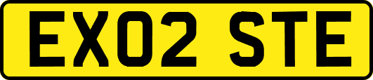 EX02STE