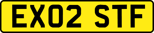 EX02STF