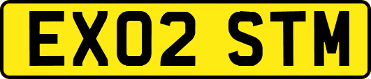 EX02STM