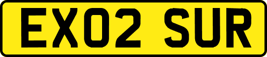 EX02SUR