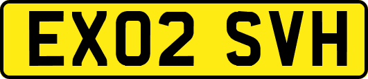 EX02SVH