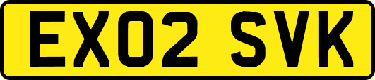 EX02SVK
