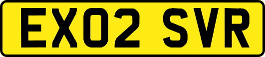 EX02SVR