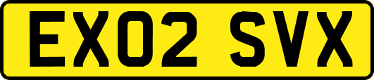 EX02SVX