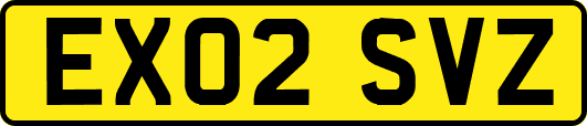 EX02SVZ