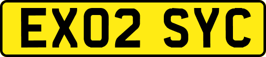 EX02SYC