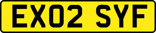 EX02SYF