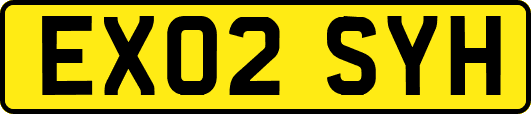 EX02SYH