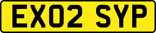EX02SYP