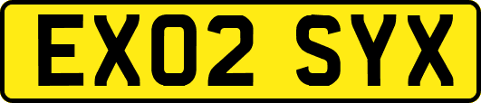 EX02SYX