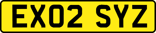 EX02SYZ