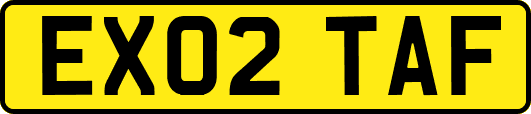 EX02TAF