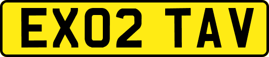 EX02TAV