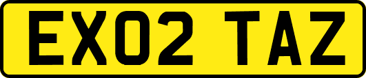 EX02TAZ
