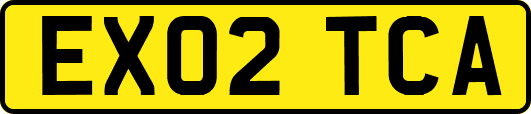 EX02TCA