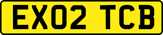 EX02TCB