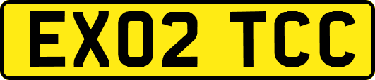 EX02TCC